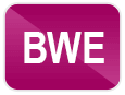 Blind Work Expenses (BWE) icon