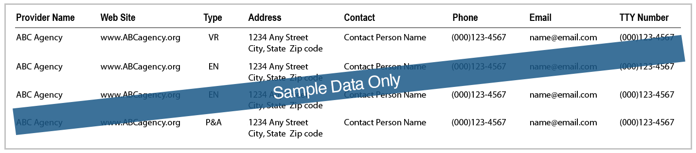 Sample contact information listing Provider Name, Website, Type, Address, Contact, Phone, Email and TTY Number